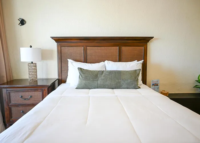 The Palapa House 3*